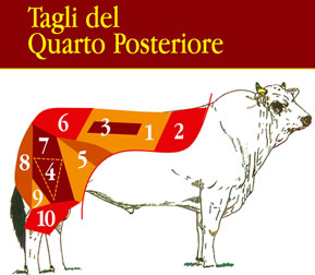taglio posteriore taglio posteriore